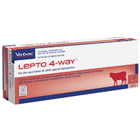 Lepto 4 2025 way vaccine